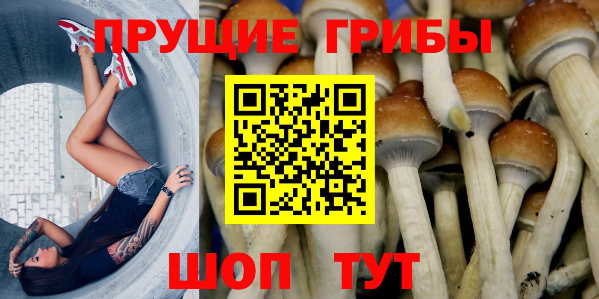 Псилоцибиновые грибы прущие грибы  Вход с VPN  Псилоцибиновые грибы Psilocybe  Ревда 